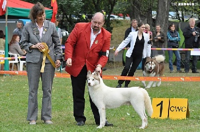 of aqua ice - CACS Special de race Lodz (Pologne )18/09/11